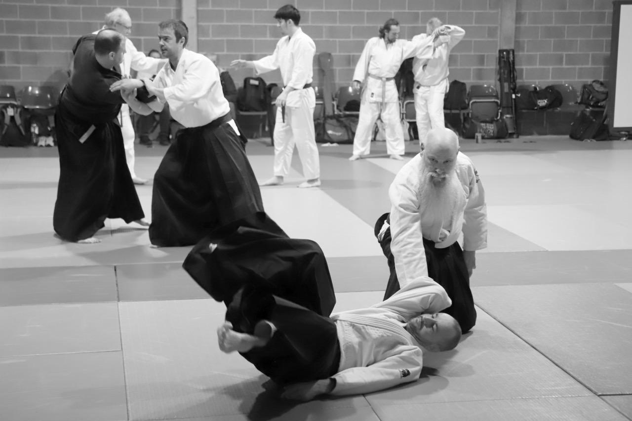 démo aikido roubaix